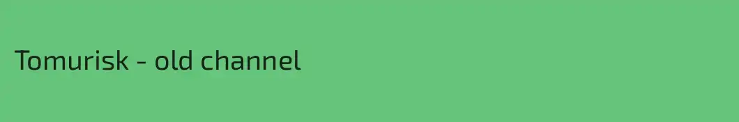 Tomurisk - old channel